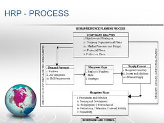 HRP - PROCESS
 