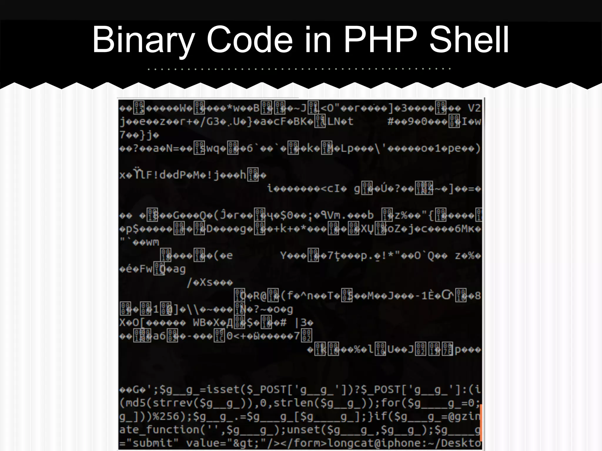Binary Code in PHP Shell 
 