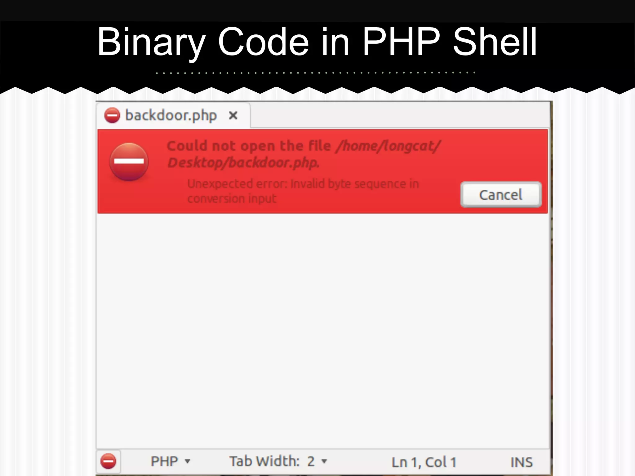 Binary Code in PHP Shell 
 