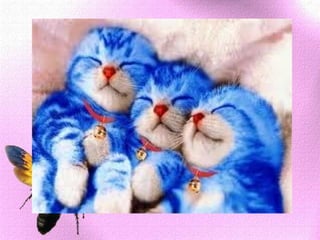 IHSAN TERHADAP BINATANG