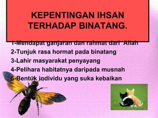 KEPENTINGAN IHSAN
     TERHADAP BINATANG.
1-Mendapat ganjaran dan rahmat dari Allah
2-Tunjuk rasa hormat pada binatang
3-Lahir masyarakat penyayang
4-Pelihara habitatnya daripada musnah
5-Bentuk individu yang suka kebaikan
 