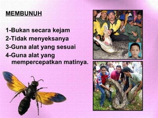 MEMBUNUH

1-Bukan secara kejam
2-Tidak menyeksanya
3-Guna alat yang sesuai
4-Guna alat yang
  mempercepatkan matinya.
 