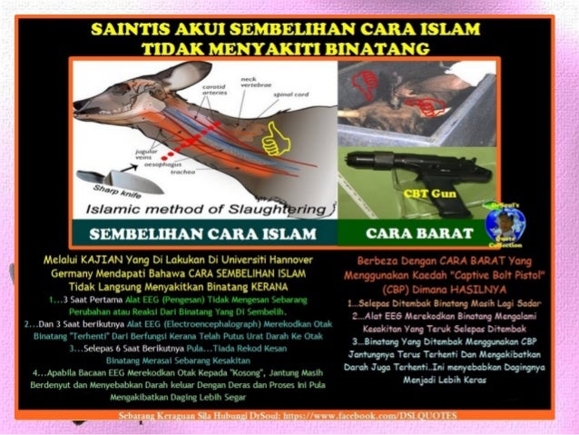 Ihsan Terhadap Binatang