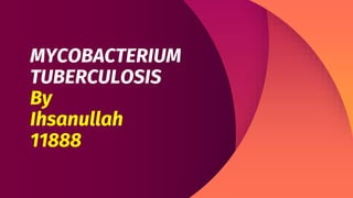 MYCOBACTERIUM
TUBERCULOSIS
By
Ihsanullah
11888
 