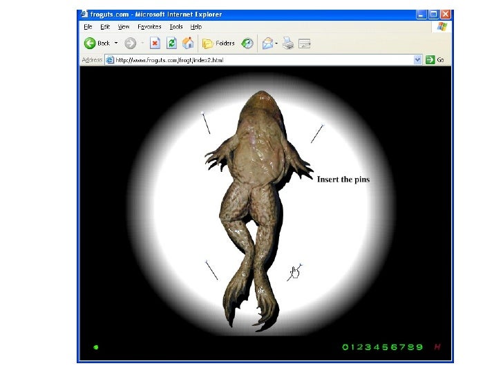 virtual frog dissection free download