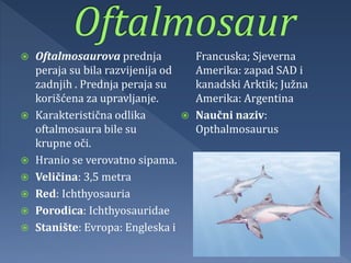  Oftalmosaurova prednja
peraja su bila razvijenija od
zadnjih . Prednja peraja su
korišćena za upravljanje.
 Karakteristična odlika
oftalmosaura bile su
krupne oči.
 Hranio se verovatno sipama.
 Veličina: 3,5 metra
 Red: Ichthyosauria
 Porodica: Ichthyosauridae
 Stanište: Evropa: Engleska i
Francuska; Sjeverna
Amerika: zapad SAD i
kanadski Arktik; Južna
Amerika: Argentina
 Naučni naziv:
Opthalmosaurus
 