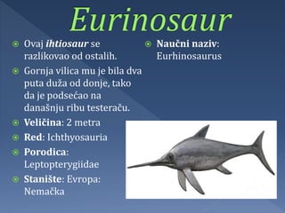  Ovaj ihtiosaur se
razlikovao od ostalih.
 Gornja vilica mu je bila dva
puta duža od donje, tako
da je podsećao na
današnju ribu testeraču.
 Veličina: 2 metra
 Red: Ichthyosauria
 Porodica:
Leptopterygiidae
 Stanište: Evropa:
Nemačka
 Naučni naziv:
Eurhinosaurus
 