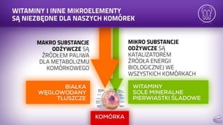 Prezentacja mona vie