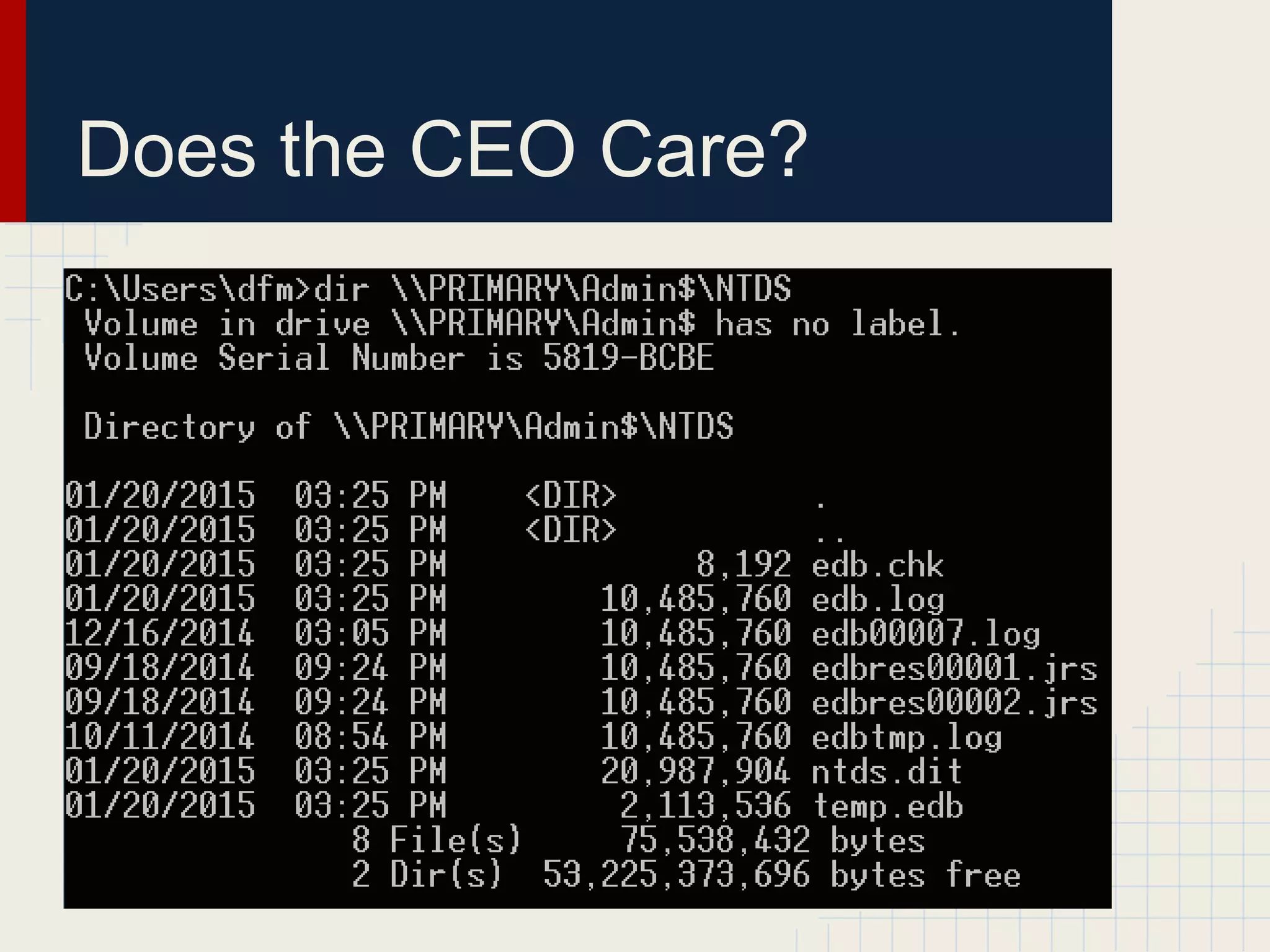 Does the CEO Care?
 
