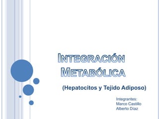 Integración Metabólica (Hepatocitos y Tejido Adiposo) Integrantes:  Marco Castillo Alberto Díaz 