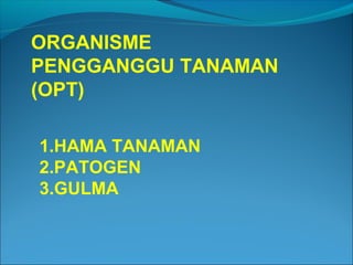 ORGANISME
PENGGANGGU TANAMAN
(OPT)
1.HAMA TANAMAN
2.PATOGEN
3.GULMA
 