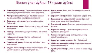 Багын үнэт зүйлс, 17 чухал зүйлс
 Зохицомтгой чанар: Хэрэв та багийнхаа төлөө
өөрчлөгдөхгүй бол баг чинь таныг өөрчилнө.
 Хамтран ажиллах чанар: Хамтдаа ялахын
өмнөх алхам бол хамтдаа ажиллах юм.
 Зориулалттай чанар:Хулчгар дийлэгч гэж
байдаггүй.
 Харилцааны чанар: Баг гэдэг нэр зүрхтэй олон
хоолой юм.
 Чадвар: Хэрэв та чадахгүй бол таны баг ч мөн
чадахгүй.
 Найдвартай чанар: Багууд найдвартай
тоглогчид уруу очдог.
 Сахилгатай чанар: Хаана хүсэл байна тэнд
ялалт байна.
 Өөд нь татах чанар: Багийн тоглогчиддоо үнэ
цэнийг нэмэх нь үнэлэшгүй чухал юм.
 Хүсэл зориг: Таны зүрх багийн хүч чадлын эх
үүсвэр юм.
 Зорилгот чанар: Суусан газраасаа шороо атга.
 Даалгавартаа мэдрэмжтэй чанар: Ерөнхий
зураг улам чанга, тод болж байна.
 Бэлтгэлтэй чанар: Бэлтгэл, хожлыг хожигдлоос
ялгадаг.
 Харьцаат чанар: Хэрэв та таарамжтай бол
бусад хүн дагалдана.
 Хөгжих чанар: Багаар сайжруулахын тулд
өөрийгөө сайжруул.
 Хувиа үл хичээгч чанар: Багт би байхгүй.
 Шийдэлд төвлөрөх чанар: Шийдлийг олохын
тулд шийдвэр гарга.
 Туйлбартай чанар: Хэзээ ч, хэзээ ч, хэзээ ч бүү
боль.
 