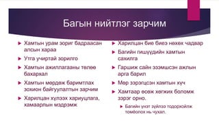Багын нийтлэг зарчим
 Хамтын урам зориг бадраасан
алсын хараа
 Утга учиртай зорилго
 Хамтын ажиллагааны төлөө
бахархал
 Хамтын мөрдөж баримтлах
зохион байгуулалтын зарчим
 Харилцан хүлээх хариуцлага,
хамаарлын мэдрэмж
 Харилцан бие биеэ нөхөх чадвар
 Багийн гишүүдийн хамтын
сахилга
 Гаршиж сайн эзэмшсэн ажлын
арга барил
 Мөр зэрэгцсэн хамтын хүч
 Хамтаар өсөж хөгжих боломж
зэрэг орно.
 Багийн үнэт зүйлээ тодорхойлж
томёолох нь чухал.
 