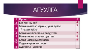 АГУУЛГА
1 Оршил
2 Баг гэж юу вэ?
3
Багын нийтлэг зарчим, үнэт зүйлс,
17 чухал зүйлс
4 Багын ажиллагааны давуу тал
5 Багын ...