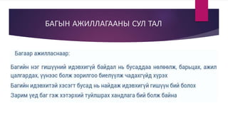 БАГЫН АЖИЛЛАГААНЫ СУЛ ТАЛ
 