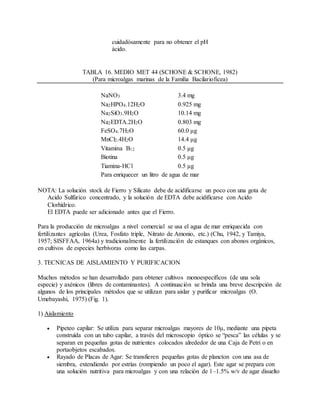 cuidadósamente para no obtener el pH
ácido.
TABLA 16. MEDIO MET 44 (SCHONE & SCHONE, 1982)
(Para microalgas marinas de la Familia Bacilarioficea)
NaNO3 3.4 mg
Na2HPO4.12H2O 0.925 mg
Na2SiO3.9H2O 10.14 mg
Na2EDTA.2H2O 0.803 mg
FeSO4.7H2O 60.0 μg
MnCl2.4H2O 14.4 μg
Vitamina B12 0.5 μg
Biotina 0.5 μg
Tiamina-HCl 0.5 μg
Para enriquecer un litro de agua de mar
NOTA: La solución stock de Fierro y Silicato debe de acidificarse un poco con una gota de
Acido Sulfúrico concentrado, y la solución de EDTA debe acidificarse con Acido
Clorhídrico.
El EDTA puede ser adicionado antes que el Fierro.
Para la producción de microalgas a nivel comercial se usa el agua de mar enriquecida con
fertilizantes agrícolas (Urea, Fosfato triple, Nitrato de Amonio, etc.) (Chu, 1942, y Tamiya,
1957; SISFFAA, 1964a) y tradicionalmente la fertilización de estanques con abonos orgánicos,
en cultivos de especies herbívoras como las carpas.
3. TECNICAS DE AISLAMIENTO Y PURIFICACION
Muchos métodos se han desarrollado para obtener cultivos monoespecíficos (de una sola
especie) y axénicos (libres de contaminantes). A continuación se brinda una breve descripción de
algunos de los principales métodos que se utilizan para aislar y purificar microalgas (O.
Umebayashi, 1975) (Fig. 1).
1) Aislamiento
 Pipeteo capilar: Se utiliza para separar microalgas mayores de 10μ, mediante una pipeta
construída con un tubo capilar, a través del microscopio óptico se “pesca” las células y se
separan en pequeñas gotas de nutrientes colocados alrededor de una Caja de Petri o en
portaobjetos escabados.
 Rayado de Placas de Agar: Se transfieren pequeñas gotas de plancton con una asa de
siembra, extendiendo por estrías (rompiendo un poco el agar). Este agar se prepara con
una solución nutritiva para microalgas y con una relación de 1–1.5% w/v de agar disuelto
 