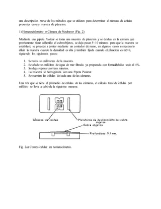 una descripción breve de los métodos que se utilizan para determinar el número de células
presentes en una muestra de plancton.
1) Hematocitómetro o Cámara de Neubaver (Fig. 2)
Mediante una pipeta Pasteur se toma una muestra de plancton y se desliza en la cámara que
previamente tiene adherido el cubreobjetos, se deja pasar 5~10 minutos para que la muestra se
estabilice; se procede a contar mediante un contador de mano, en algunos casos es necesario
diluir la muestra cuando la densidad es alta y también fijada cuando el plancton es móvil,
siguiendo los siguientes pasos:
1. Se toma un milímetro de la muestra.
2. Se añade un mililitro de agua de mar filtrada ya preparada con formaldehido todo al 4%.
3. Se deja reposar por tres minutos.
4. La muestra se homogeniza con una Pipeta Pasteur.
5. Se cuentan las células de cada una de las cámaras.
Una vez que se tiene el promedio de células de las cámaras, el cálculo total de células por
mililitro se lleva a cabo de la siguiente manera:
Fig. 2a) Conteo celular en homatocímetro.
 