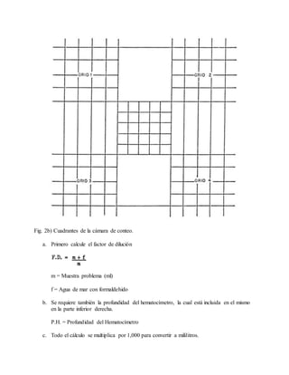 Fig. 2b) Cuadrantes de la cámara de conteo.
a. Primero calcule el factor de dilución
m = Muestra problema (ml)
f = Agua de mar con formaldehido
b. Se requiere también la profundidad del hematocímetro, la cual está incluida en el mismo
en la parte inferior derecha.
P.H. = Profundidad del Hematocímetro
c. Todo el cálculo se multiplica por 1,000 para convertir a mililitros.
 