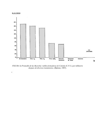 FIGURA 3a Promedlo de las Bocterlas viables formadoras de Colonla (C.F.U.) por mllímetro
despues de diversos tratamientos. (Barroso, 1987).
<
 