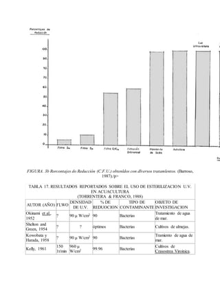 FIGURA. 3b Rorcontajes do Reducción (C.F.U.) obtenldos con dlversos tratamlentos. (Barroso,
1987)./p>
TABLA 17. RESULTADOS REPORTADOS SOBRE EL USO DE ESTERILIZACION U.V.
EN ACUACULTURA
(TORRENTERA & FRANCO, 1988)
AUTOR (AÑO) FLWO
DENSIDAD
DE U.V.
% DE
REDUOCION
TIPO DE
CONTAMINANTE
OBJETO DE
INVESTIGACION
Okinami et al.,
1952
? 90 μ W/cm2 90 Bacterias
Tratamiento de agua
de mar.
Shelton and
Green, 1954
? ? óptimos Bacterias Cultivos de almejas.
Kowobata y
Harada, 1958
? 90 μ W/cm2 90 Bacterias
Tramiento de agua de
mar.
Kelly, 1961
150
1t/min
960 μ
W/cm2 99.96 Bacterias
Cultivos de
Crasostrea Viroinica.
 