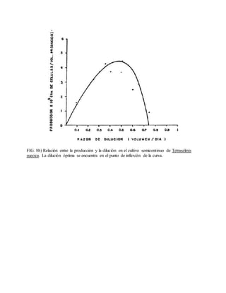 FIG. 8b) Relación entre la producción y la dilución en el cultivo semicontinuo de Tetraselmis
suecica. La dilución óptima se encuentra en el punto de inflexión de la curva.
 