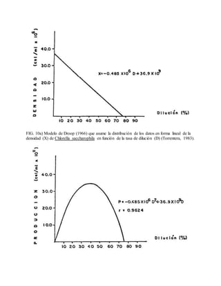 FIG. 10a) Modelo de Droop (1966) que asume la distribución de los datos en forma lineal de la
densidad (X) de Chlorella saccharophila en función de la tasa de dilución (D) (Torrentera, 1983).
 