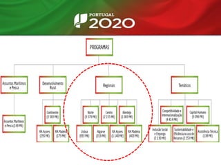 Quais as apostas
dos Programas
Regionais?
 