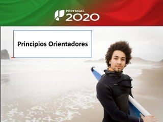 Principios Orientadores
 