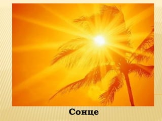 Сонце
 