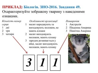 ПРИКЛАД: Біологія. ЗНО-2016. Завдання 49.
Охарактеризуйте зображену тварину з наведеними
ознаками.
Кількість камер
серця
1 дві
2 три
3 чотири
Особливості організації
1 малят народжують та
вигодовують молоком, не
мають клоаки
2 малят вигодовують
молоком, мають клоаку
3 зародок розвивається у
яйці, малят вигодовують
молоком, мають клоаку
Поширення
1 Австралія
2 Південна Америка
3 Північна Америка
3 1 1
 
