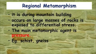 Regional Metamorphism
• it is during mountain building
• occurs on large masses of rocks is
exposed to differential stress.
• The main metamorphic agent is
pressure.
• Eg. schist, gneiss
 