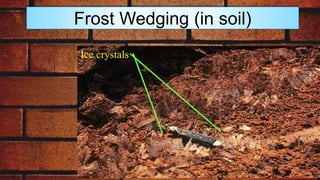 Frost Wedging (in soil)
Ice crystals
 