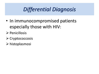 Differential Diagnosis
• In immunocompromised patients
especially those with HIV:
 Penicillosis
 Cryptococcosis
 histoplasmosi
 