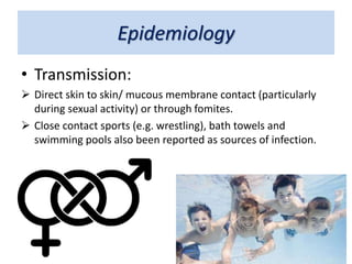 Epidemiology
• Transmission:
 Direct skin to skin/ mucous membrane contact (particularly
during sexual activity) or through fomites.
 Close contact sports (e.g. wrestling), bath towels and
swimming pools also been reported as sources of infection.
 