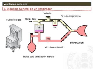3. Esquema General de un Respirador
Ventilación mecánica
VV
Fuente de gas
Circuito inspiratorio
Válvula
circuito espiratorio
Bolsa para ventilación manual
 
