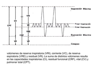 volúmenes de reserva inspiratoria (VRI), corriente (VC), de reserva
espiratoria (VRE) y residual (VR). La suma de distintos volúmenes resulta
en las capacidades inspiratorias (CI), residual funcional (CRF), vital (CV) y
pulmonar total (CPT).
 