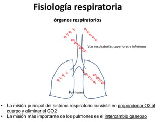 Fisiología respiratoria
órganos respiratorios
Vías respiratorias superiores e inferiores
Pulmones
O2
O2
O2
O2
O2
O2
O2
O2
O2
O2
O2
O2
O2
O2
O2
O2
O2
O2
CO2
CO2
CO2
CO2
CO2
CO2
CO2
CO2
CO2
• La misión principal del sistema respiratorio consiste en proporcionar O2 al
cuerpo y eliminar el CO2
• La misión más importante de los pulmones es el intercambio gaseoso
 