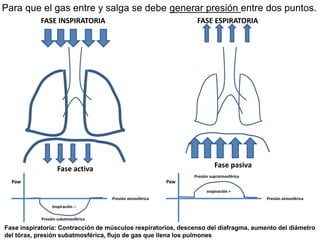 FASE INSPIRATORIA
Fase activa
Paw
Inspiración --
Presión atmosférica
Presión subatmosférica
FASE ESPIRATORIA
Fase pasiva
Paw
esspiración +
Presión atmosférica
Presión supratmosférica
Para que el gas entre y salga se debe generar presión entre dos puntos.
Fase inspiratoria: Contracción de músculos respiratorios, descenso del diafragma, aumento del diámetro
del tórax, presión subatmosférica, flujo de gas que llena los pulmones
 