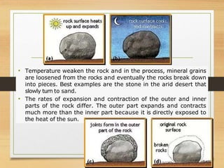 • Temperature weaken the rock and in the process, mineral grains
are loosened from the rocks and eventually the rocks break down
into pieces. Best examples are the stone in the arid desert that
slowly turn to sand.
• The rates of expansion and contraction of the outer and inner
parts of the rock differ. The outer part expands and contracts
much more than the inner part because it is directly exposed to
the heat of the sun.
 