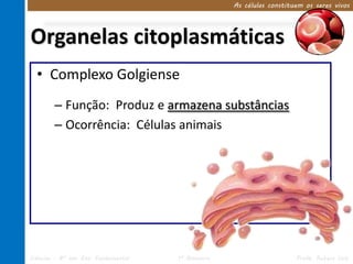 As células constituem os seres vivos




Organelas citoplasmáticas
  • Complexo Golgiense
        – Função: Produz e armazena substâncias
        – Ocorrência: Células animais




Ciências – 8º ano Ens. Fundamental   1º Bimestre                      Profa. Rebeca Vale
 