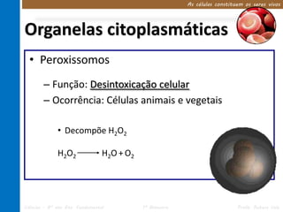As células constituem os seres vivos




Organelas citoplasmáticas
  • Peroxissomos
        – Função: Desintoxicação celular
        – Ocorrência: Células animais e vegetais

              • Decompõe H2O2

              H2O2               H2O + O2




Ciências – 8º ano Ens. Fundamental          1º Bimestre                      Profa. Rebeca Vale
 