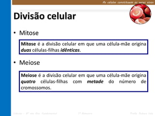 As células constituem os seres vivos




Divisão celular
• Mitose
      Mitose é a divisão celular em que uma célula-mãe origina
      duas células-filhas idênticas.

• Meiose
      Meiose é a divisão celular em que uma célula-mãe origina
      quatro células-filhas com metade do número de
      cromossomos.



Ciências – 8º ano Ens. Fundamental   1º Bimestre                      Profa. Rebeca Vale
 
