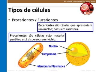 As células constituem os seres vivos




Tipos de células
• Procariontes x Eucariontes
                                     Eucariontes são células que apresentam
                                     um núcleo; possuem carioteca.

  Procariontes são células cujo material
  genético está disperso; sem núcleo.

                                            Núcleo

                                        Citoplasma


                                     Membrana Plasmática
Ciências – 8º ano Ens. Fundamental          1º Bimestre                      Profa. Rebeca Vale
 