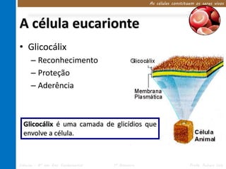 As células constituem os seres vivos




A célula eucarionte
• Glicocálix
      – Reconhecimento
      – Proteção
      – Aderência



  Glicocálix é uma camada de glicídios que
  envolve a célula.



Ciências – 8º ano Ens. Fundamental   1º Bimestre                      Profa. Rebeca Vale
 