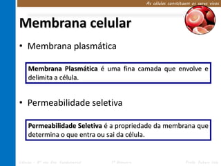 As células constituem os seres vivos




Membrana celular
• Membrana plasmática

     Membrana Plasmática é uma fina camada que envolve e
     delimita a célula.


• Permeabilidade seletiva

     Permeabilidade Seletiva é a propriedade da membrana que
     determina o que entra ou sai da célula.


Ciências – 8º ano Ens. Fundamental   1º Bimestre                      Profa. Rebeca Vale
 