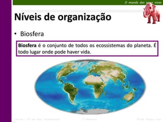O mundo dos seres vivos




Níveis de organização
• Biosfera
   Biosfera é o conjunto de todos os ecossistemas do planeta. É
   todo lugar onde pode haver vida.




Ciências – 6º ano Ens. Fundamental   1º Bimestre          Profa. Rebeca Vale
 