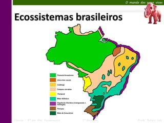 O mundo dos seres vivos




Ecossistemas brasileiros




Ciências – 6º ano Ens. Fundamental   1º Bimestre          Profa. Rebeca Vale
 
