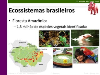 O mundo dos seres vivos




Ecossistemas brasileiros
• Floresta Amazônica
      – 1,5 milhão de espécies vegetais identificadas




Ciências – 6º ano Ens. Fundamental   1º Bimestre          Profa. Rebeca Vale
 