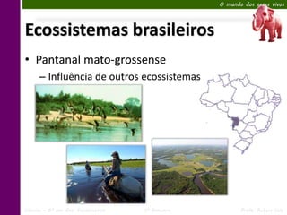 O mundo dos seres vivos




Ecossistemas brasileiros
• Pantanal mato-grossense
      – Influência de outros ecossistemas




Ciências – 6º ano Ens. Fundamental   1º Bimestre          Profa. Rebeca Vale
 
