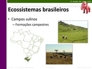O mundo dos seres vivos




Ecossistemas brasileiros
• Campos sulinos
      – Formações campestres




Ciências – 6º ano Ens. Fundamental   1º Bimestre          Profa. Rebeca Vale
 